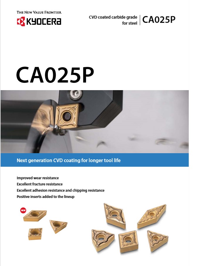 CA025P Çelik Uçları